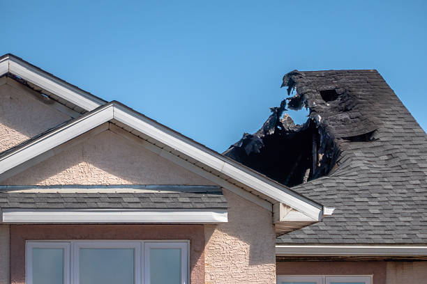 Licensed Fire Damage Removal service in Welch, MN - Fire Damage Biloxi